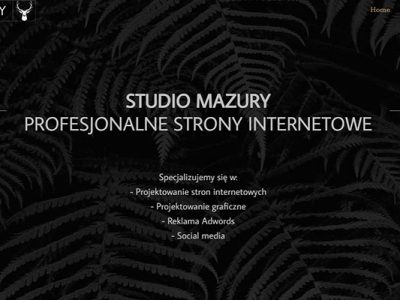 Studio Mazury - strony www